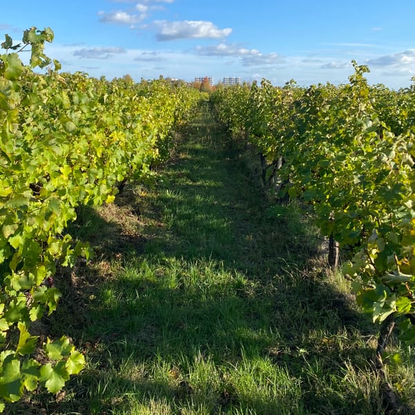 Draft Four: Freelance lessons revisited