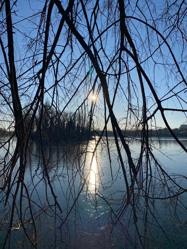 Draft Four: What We Can Know